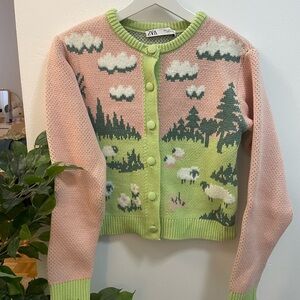 Zara Pastel Green and Pink jacquard knit Cardigan